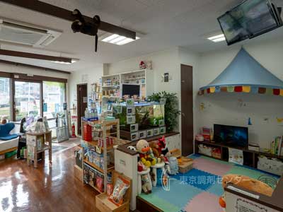 下宿薬局桜丘2号店の店内（1）