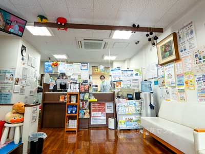 下宿薬局桜丘2号店の店内（2）